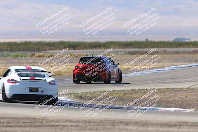 media/Oct-04-2025-OnGrid (Sat) [[44bd565ffa]]/Green Group/Grapevine/